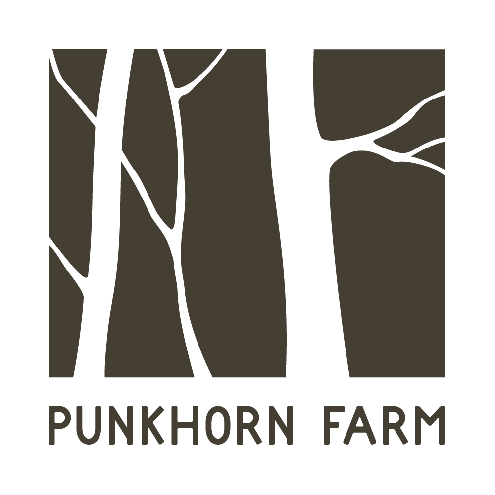 punkhorn-farm-logo.png