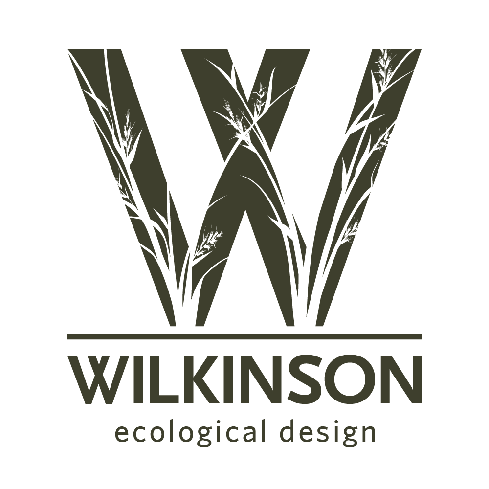 wed-logo.png