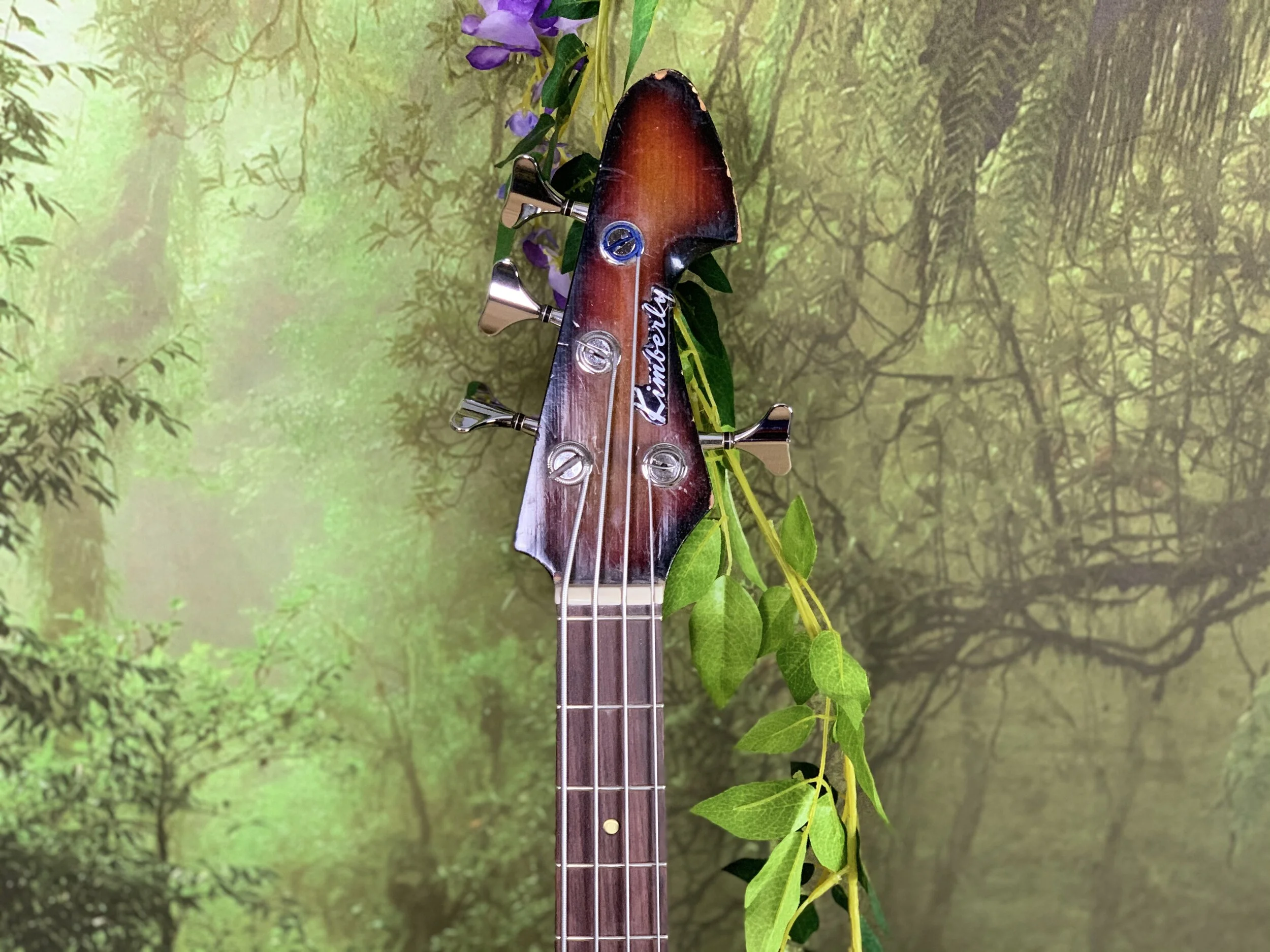 A0EC8FDE-80CA-4A56-9EC5-86507293CEA9