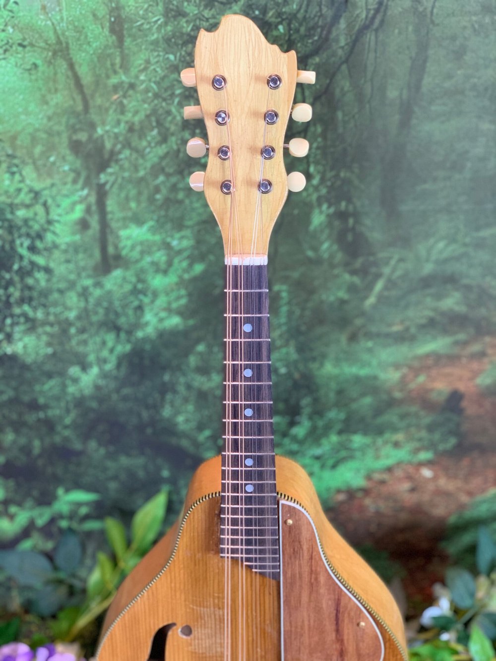 COMING SOON* 30s-40s Kay A-style mandolin — Vinegar Works Guitars
