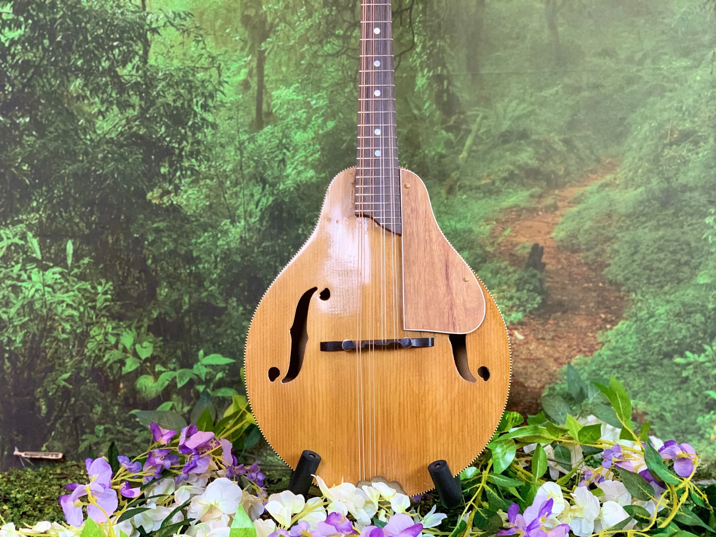 COMING SOON* 30s-40s Kay A-style mandolin — Vinegar Works Guitars