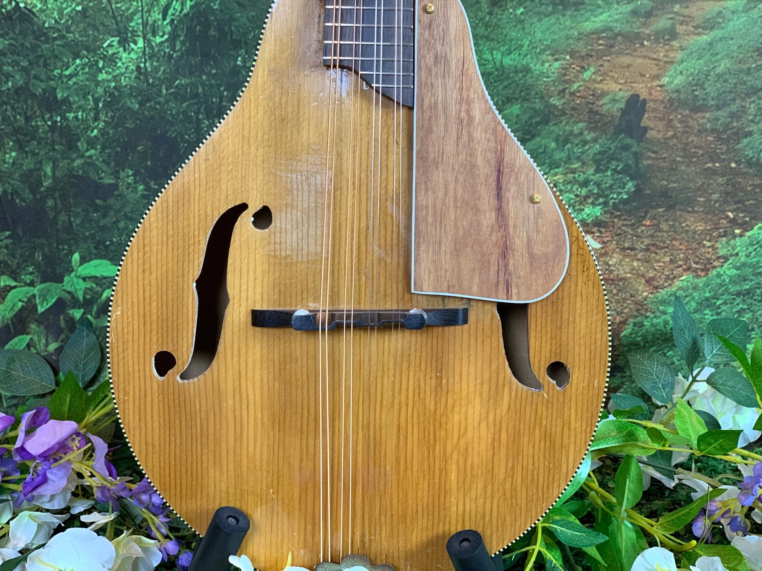 COMING SOON* 30s-40s Kay A-style mandolin — Vinegar Works Guitars