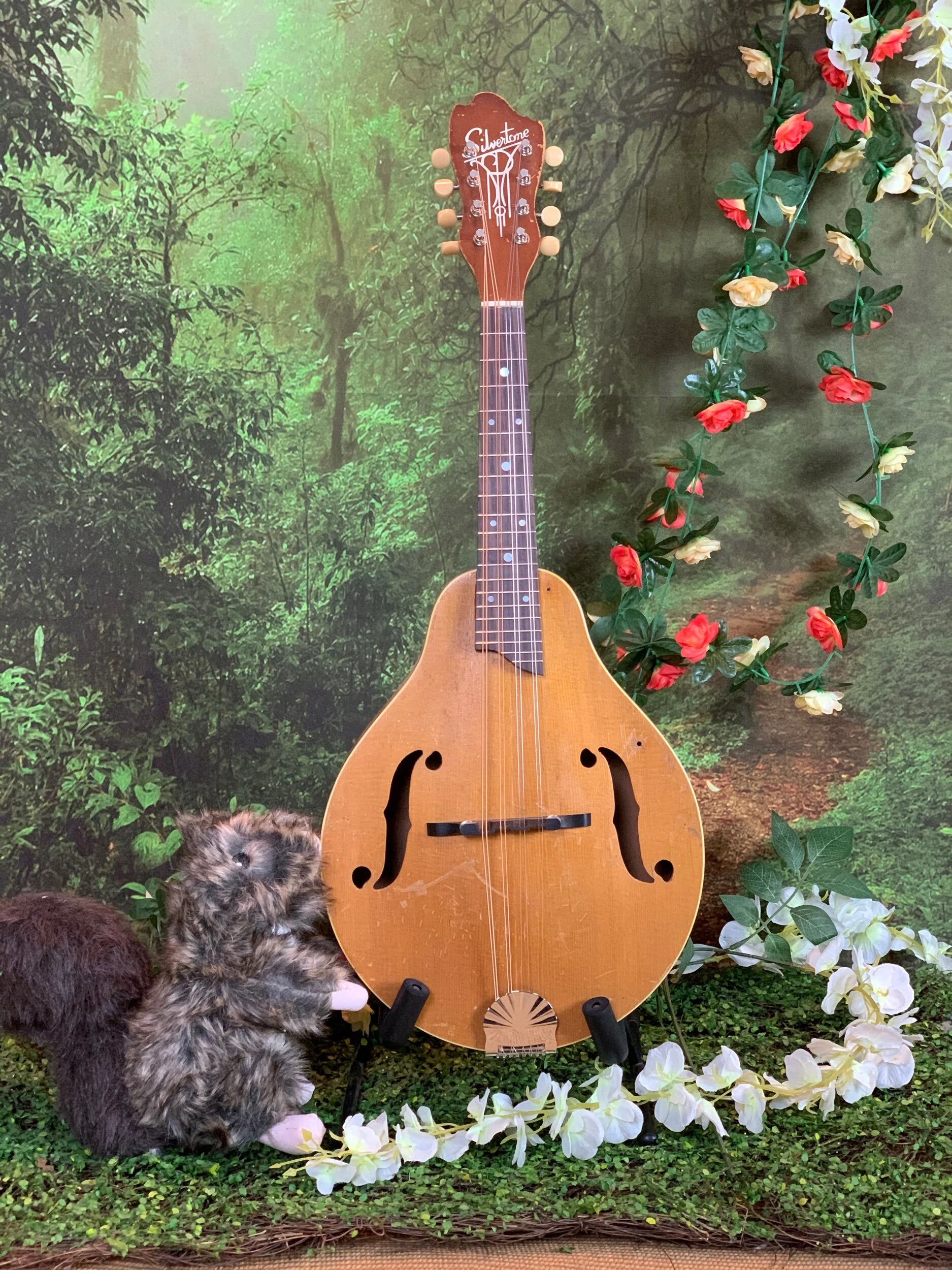 54CAE9F3-1999-4239-8F99-83CF081C501B