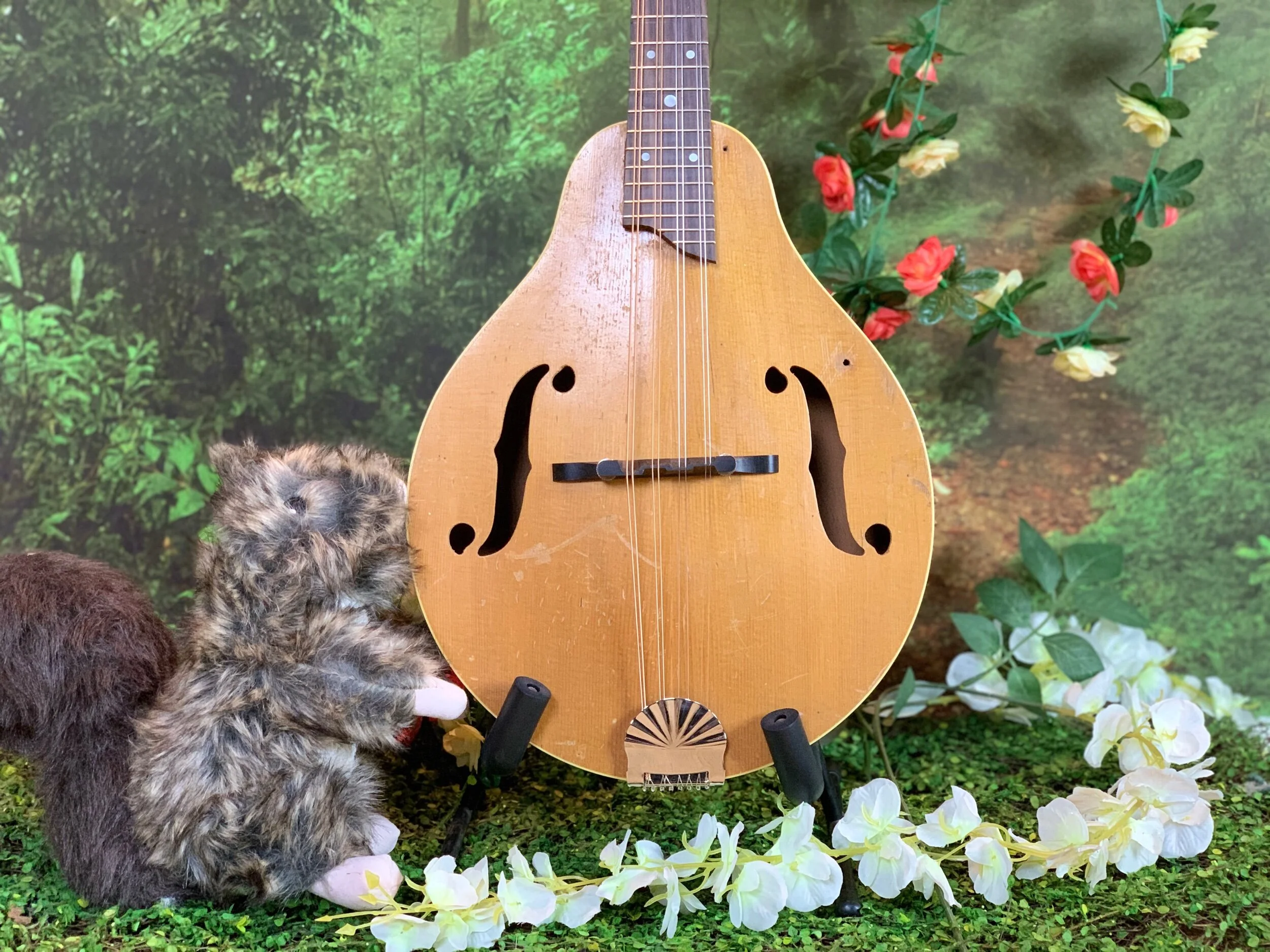 FA3B1133-4F2C-477C-B3B9-C8381CBD3DD1