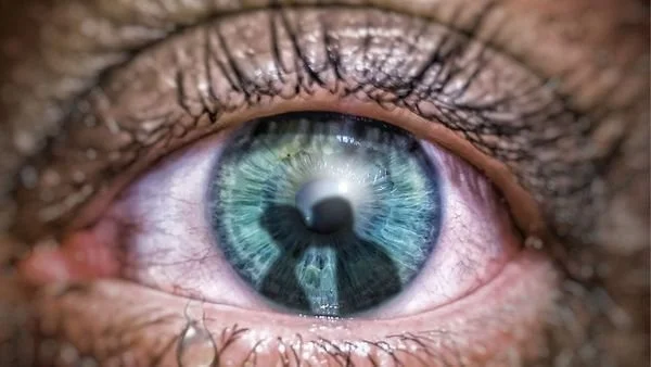 eye.jpeg
