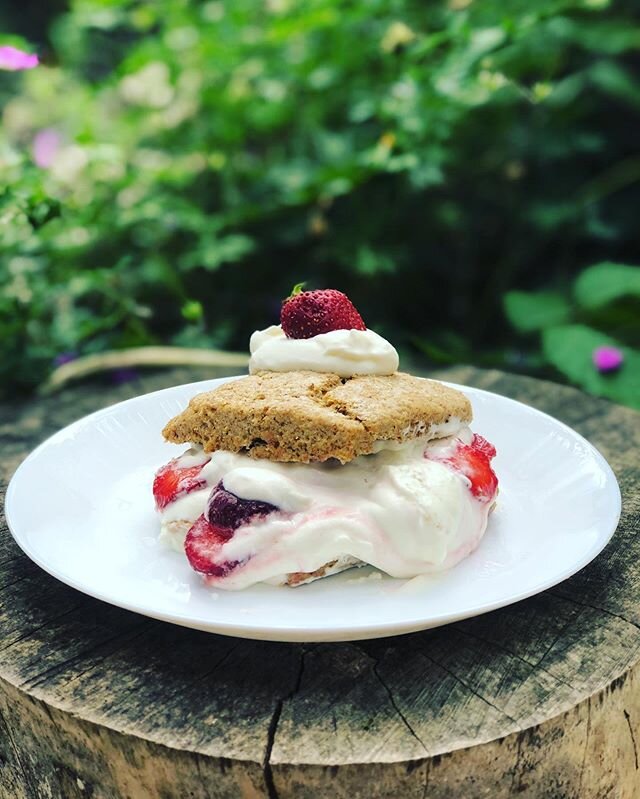 Shortcakes going on the website this afternoon ! Made with spelt, corn and a little buckwheat. 
#cornmeal #unsiftedbaker #justsaynotowhiteflour #letitgrain #thegrainproject