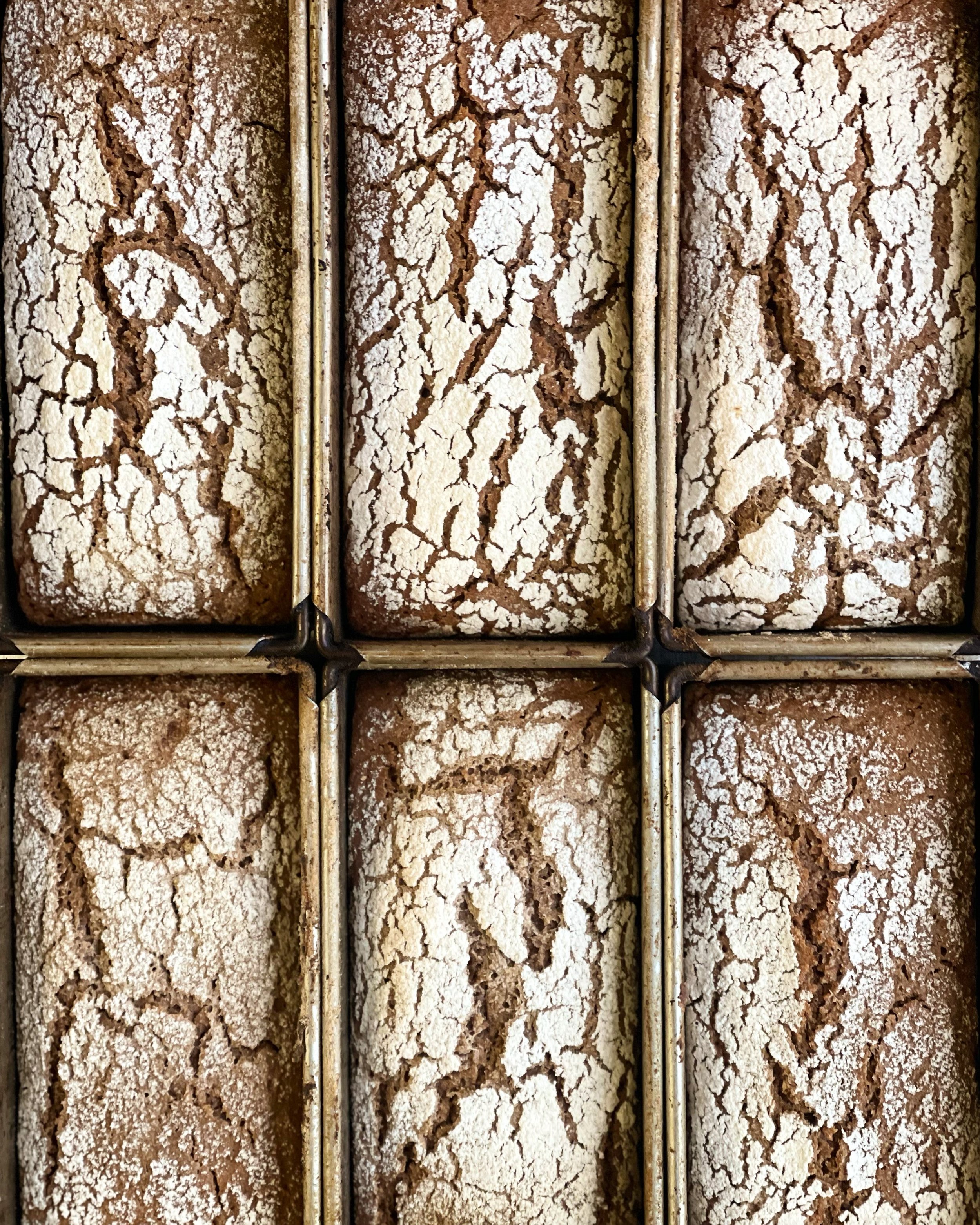rye in pans .jpg