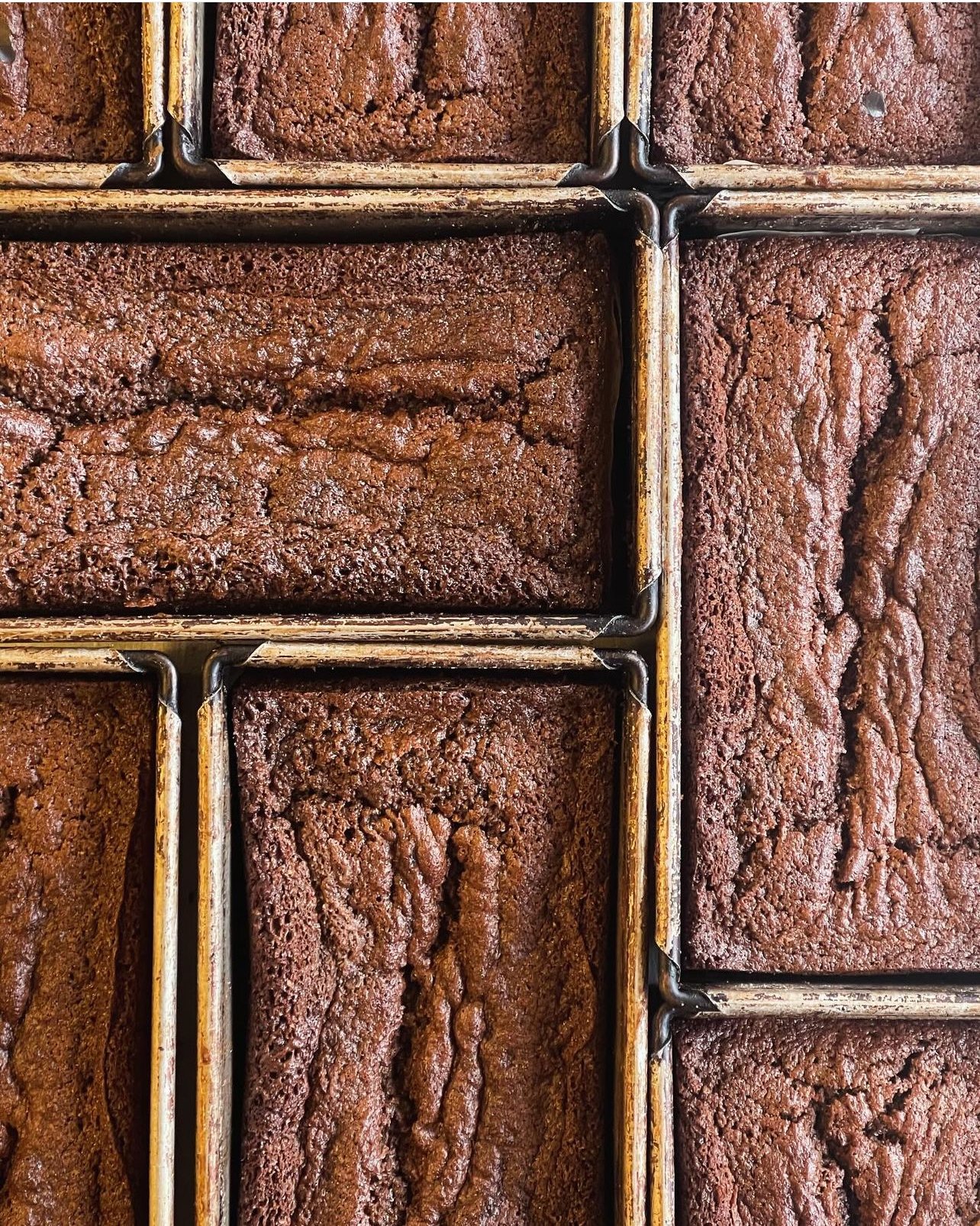 100 % RYE GINGERBREAD LOAF