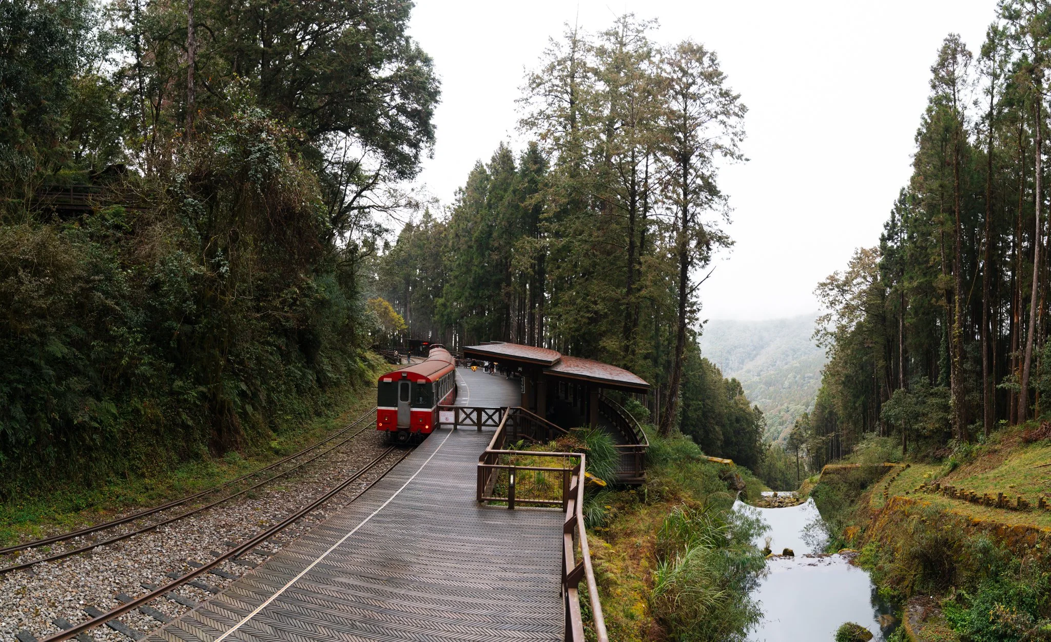 Historic Alishan Forest Railway narrow-gauge train winding through misty mountain forest, Taiwan