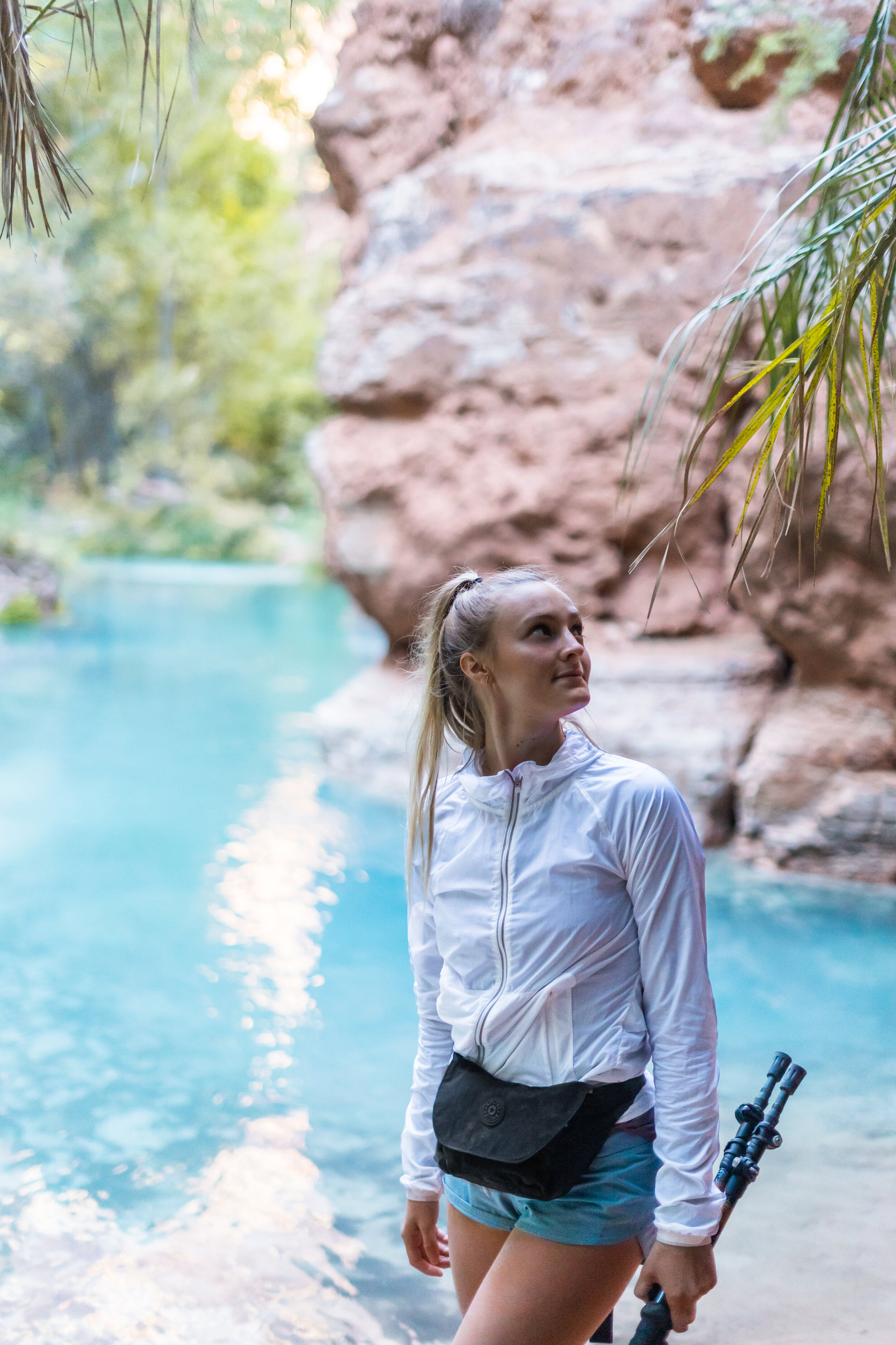 Havasupai