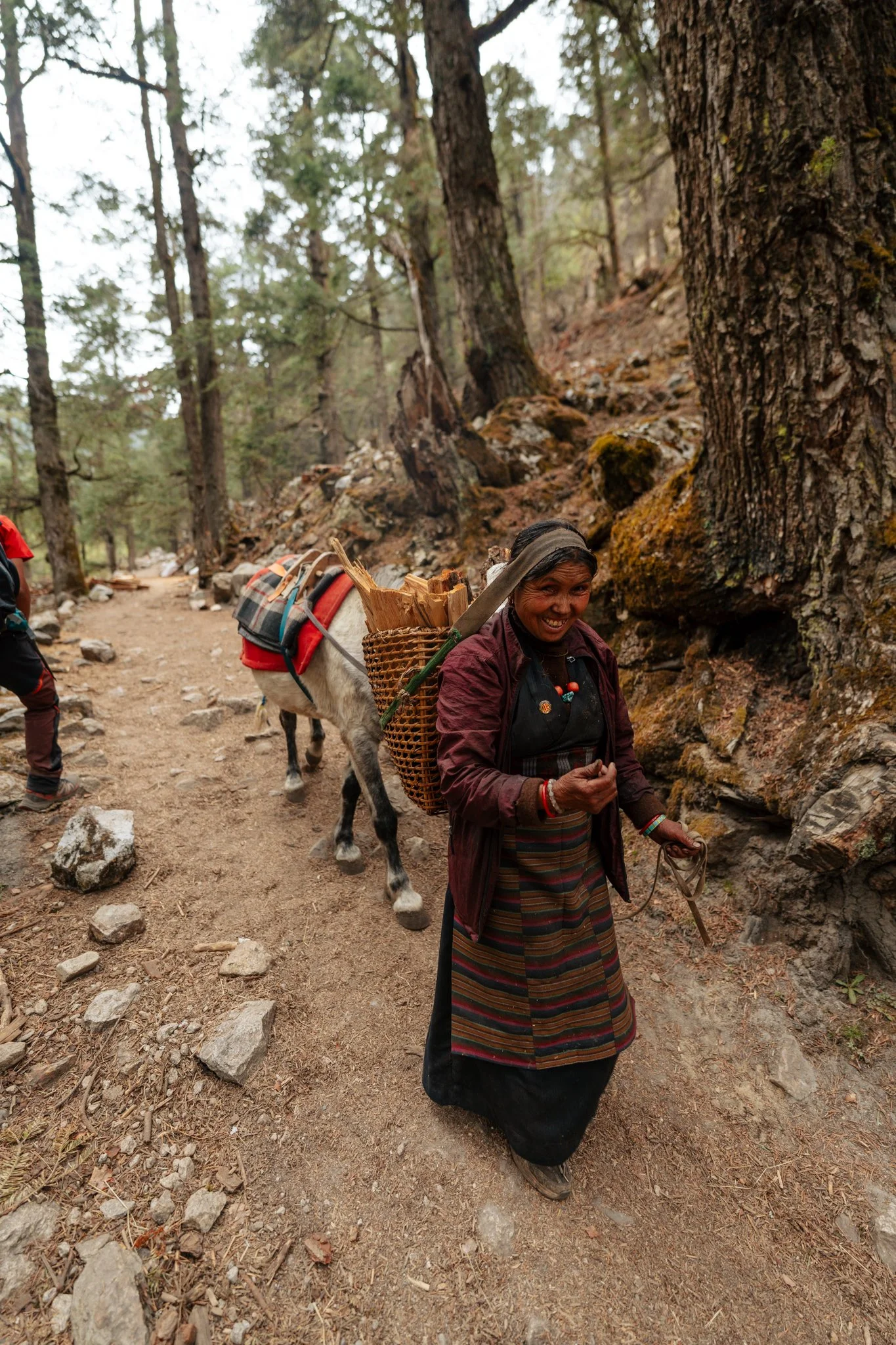 Forest trail above Namrung, climbing toward Shyala.