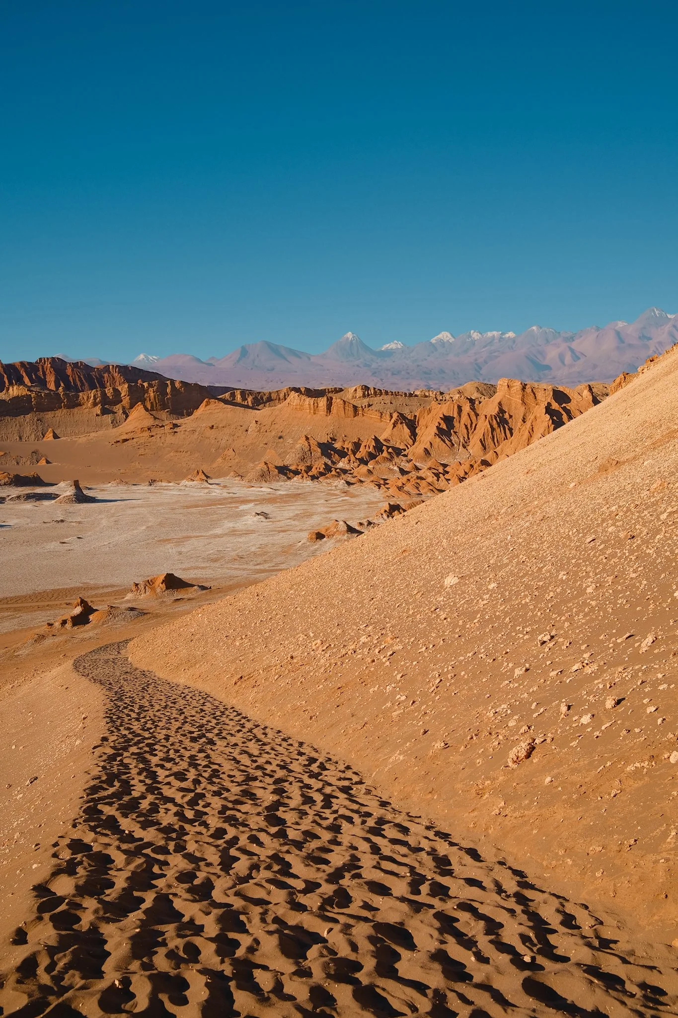 How Many Days in the Atacama Desert? (+ Best Time to Go)