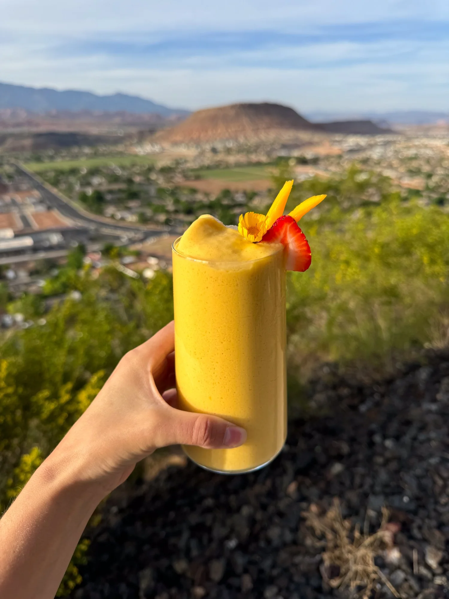 7 Irresistible Ka'Chava Protein Shake Recipes: From Matcha Magic to