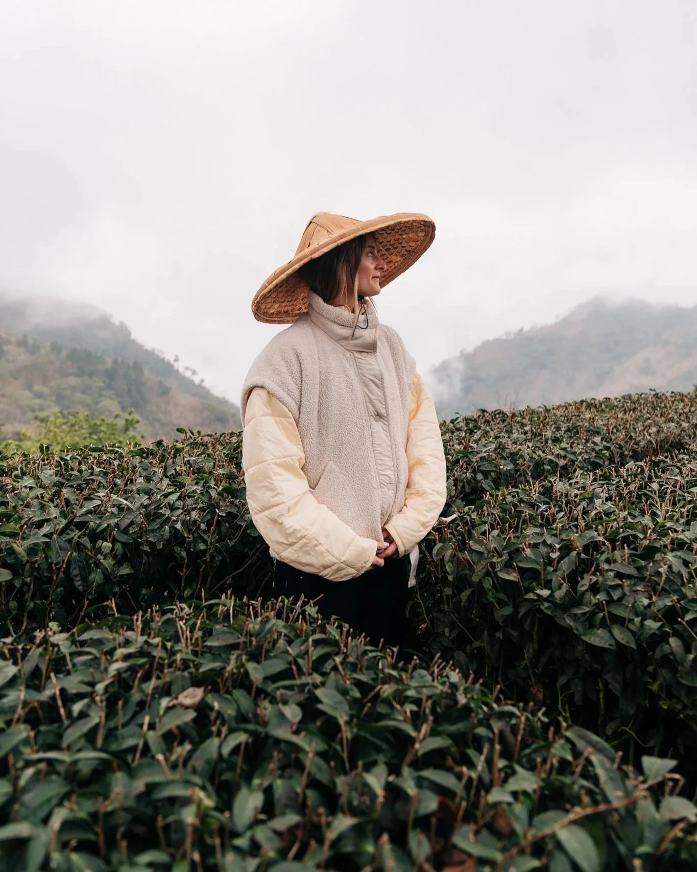 Karlie Place wearing traditional bamboo hat in Alishan tea field with misty mountain views, Taiwan