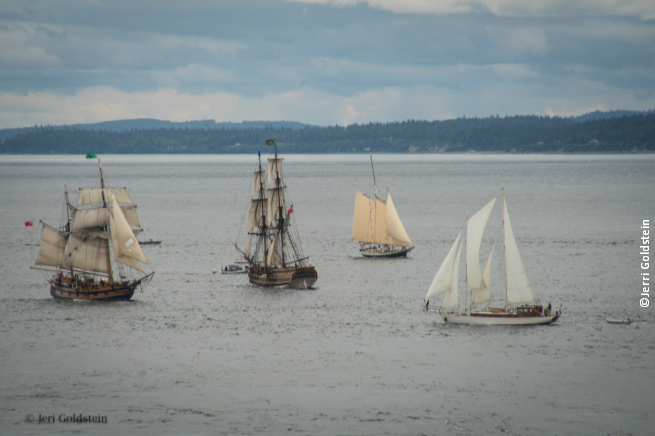 goldstein-tall ships.PNG