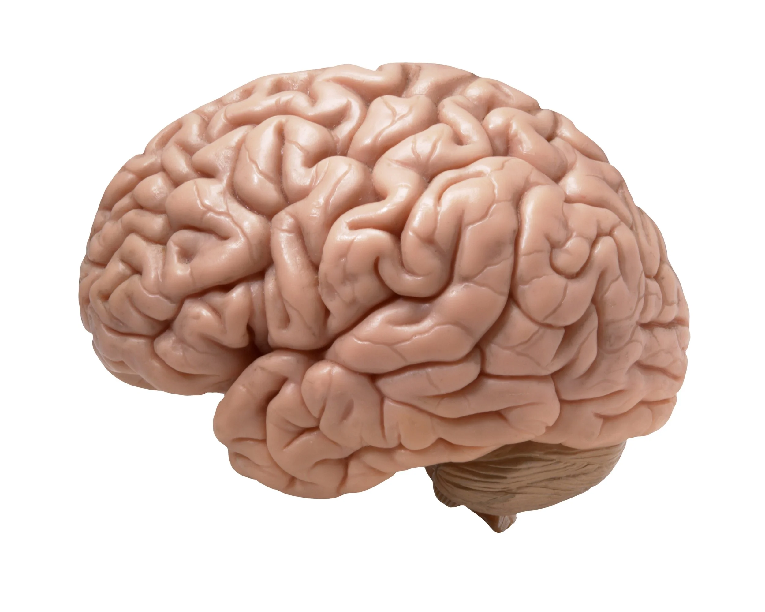 Functional Neurological Disorders