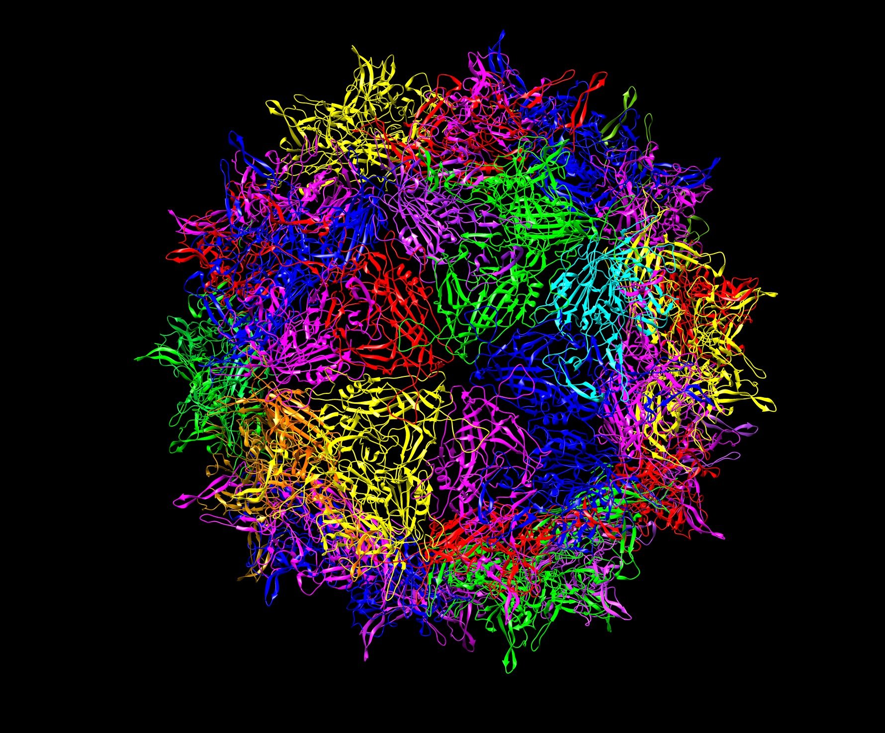 Cancer Immunotherapy via Gene Transfer