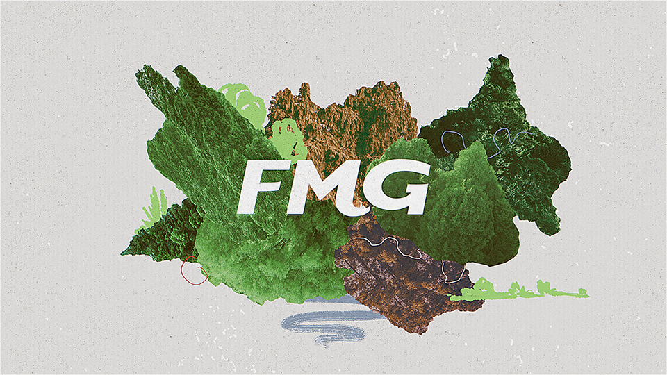 FMG - Future of Claims