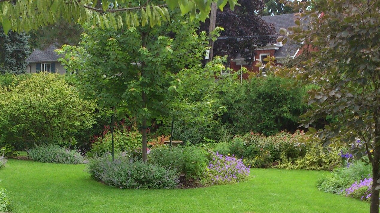 Island beds in a large garden