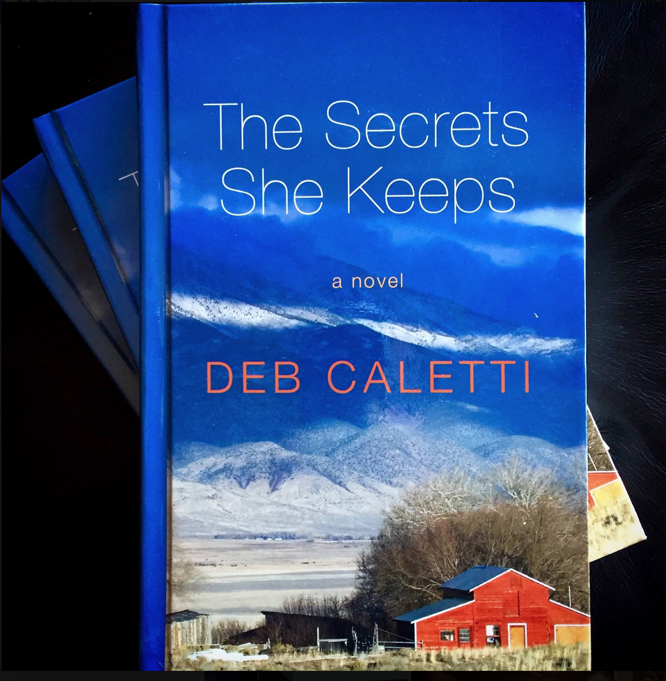The Secrets She Keeps (Large Print)