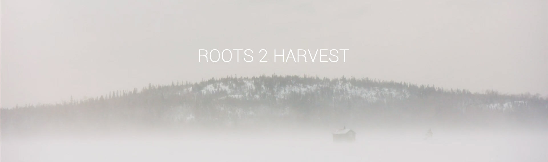 Roots 2 Harvest.jpg