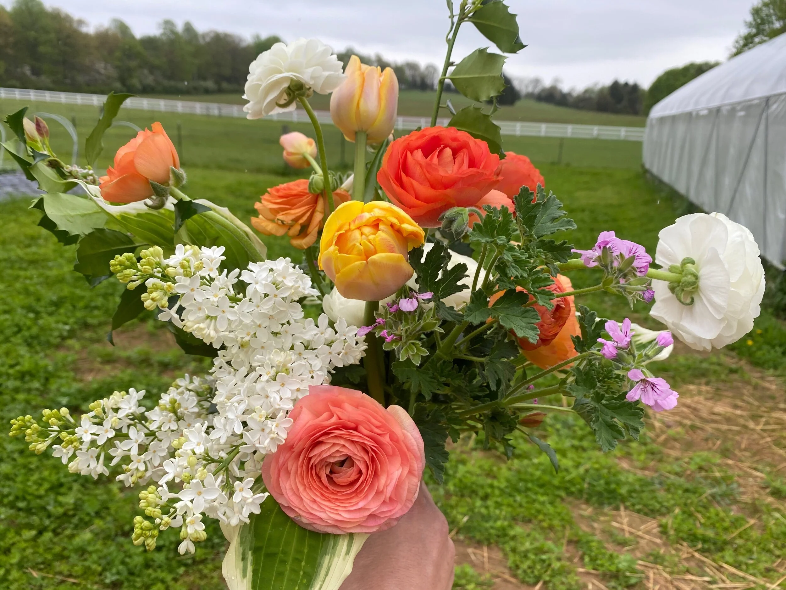 E06C426C-AA04-429F-B06E-92E94D1A2066