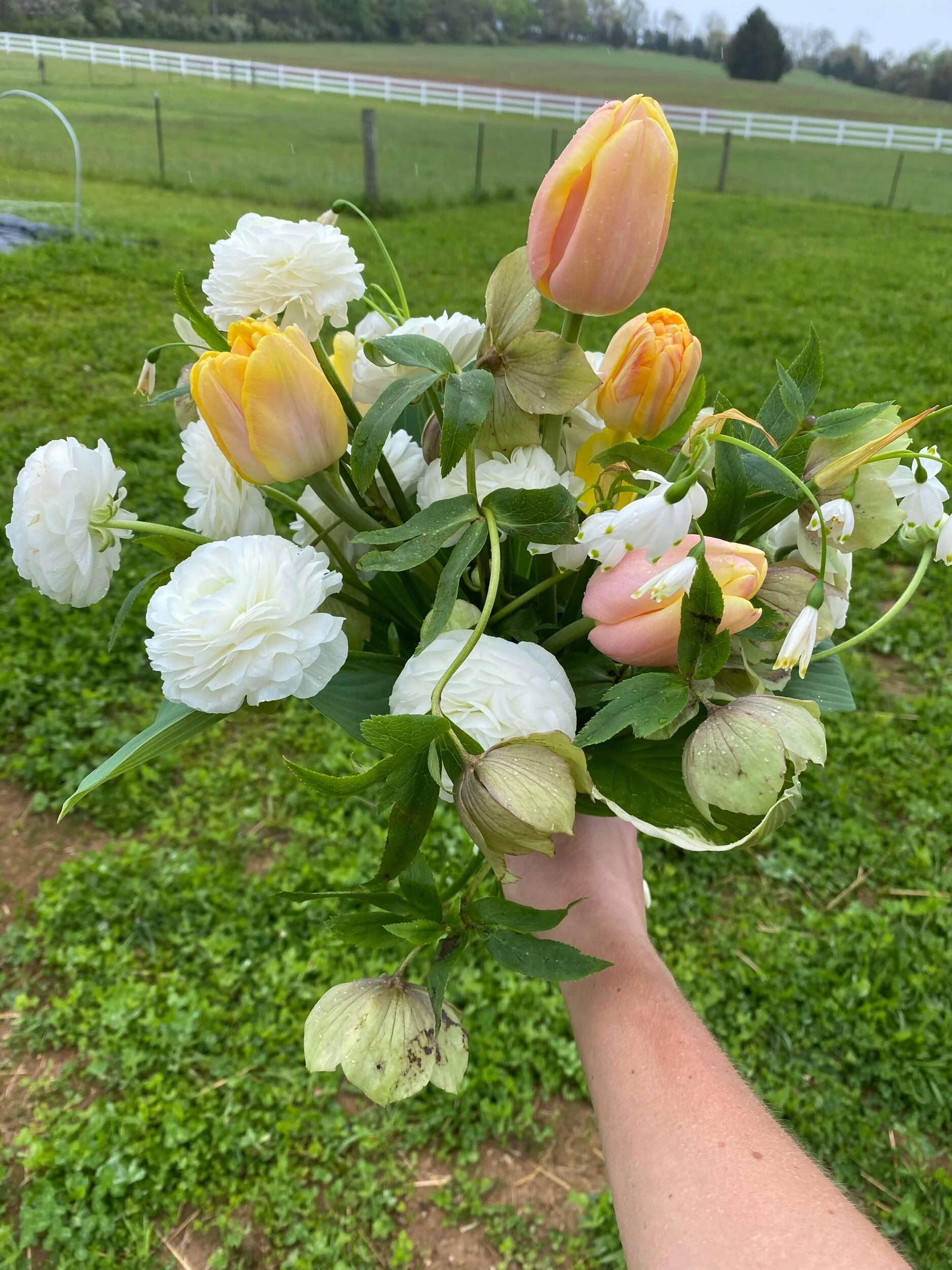 C49EEE74-F70D-41EF-9728-1B5BC0C2754A