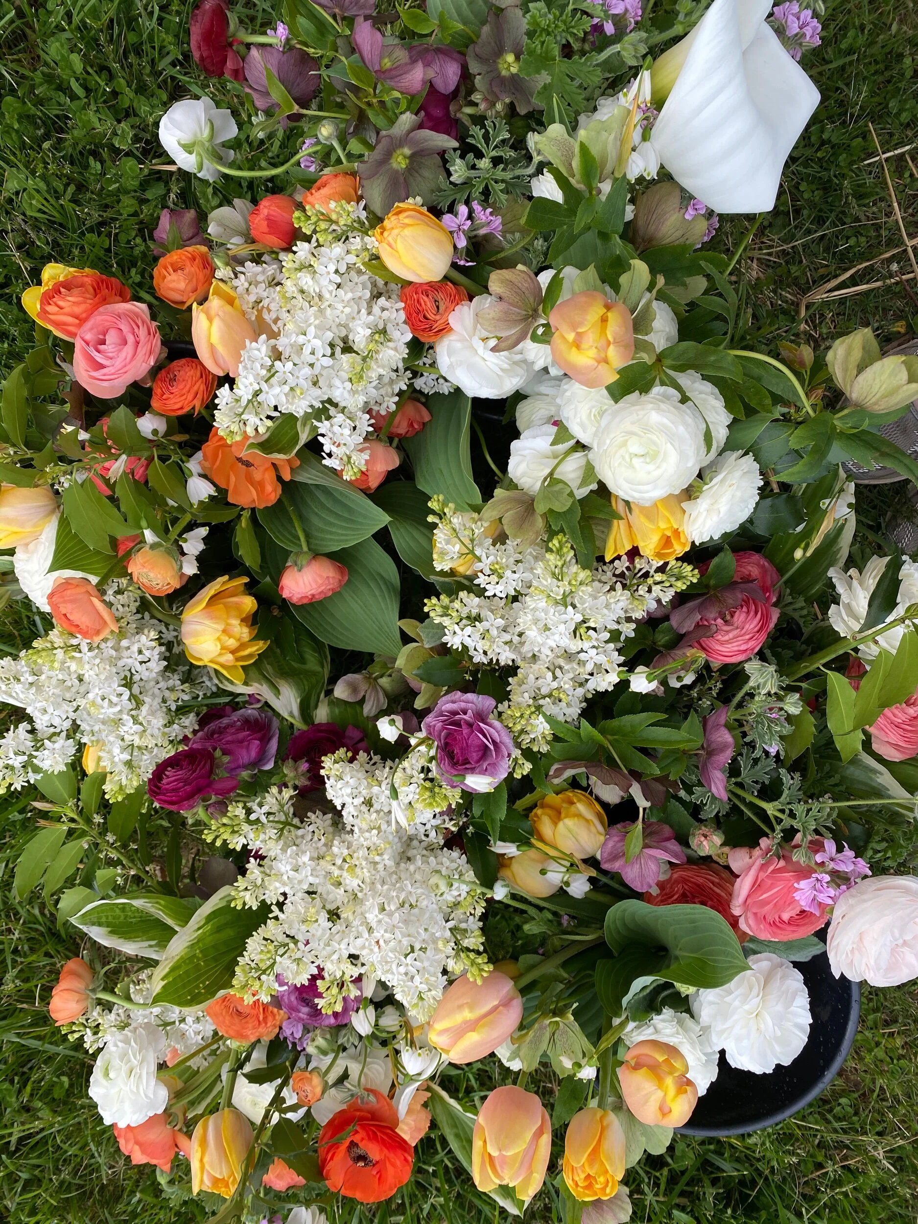 8D30369C-D506-46E8-8C82-19AA63BF395D