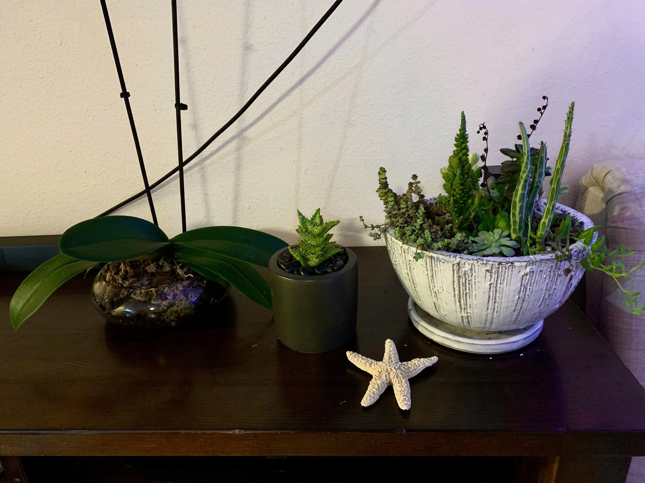 A Practical Person's Guide to Eco-Friendly Living