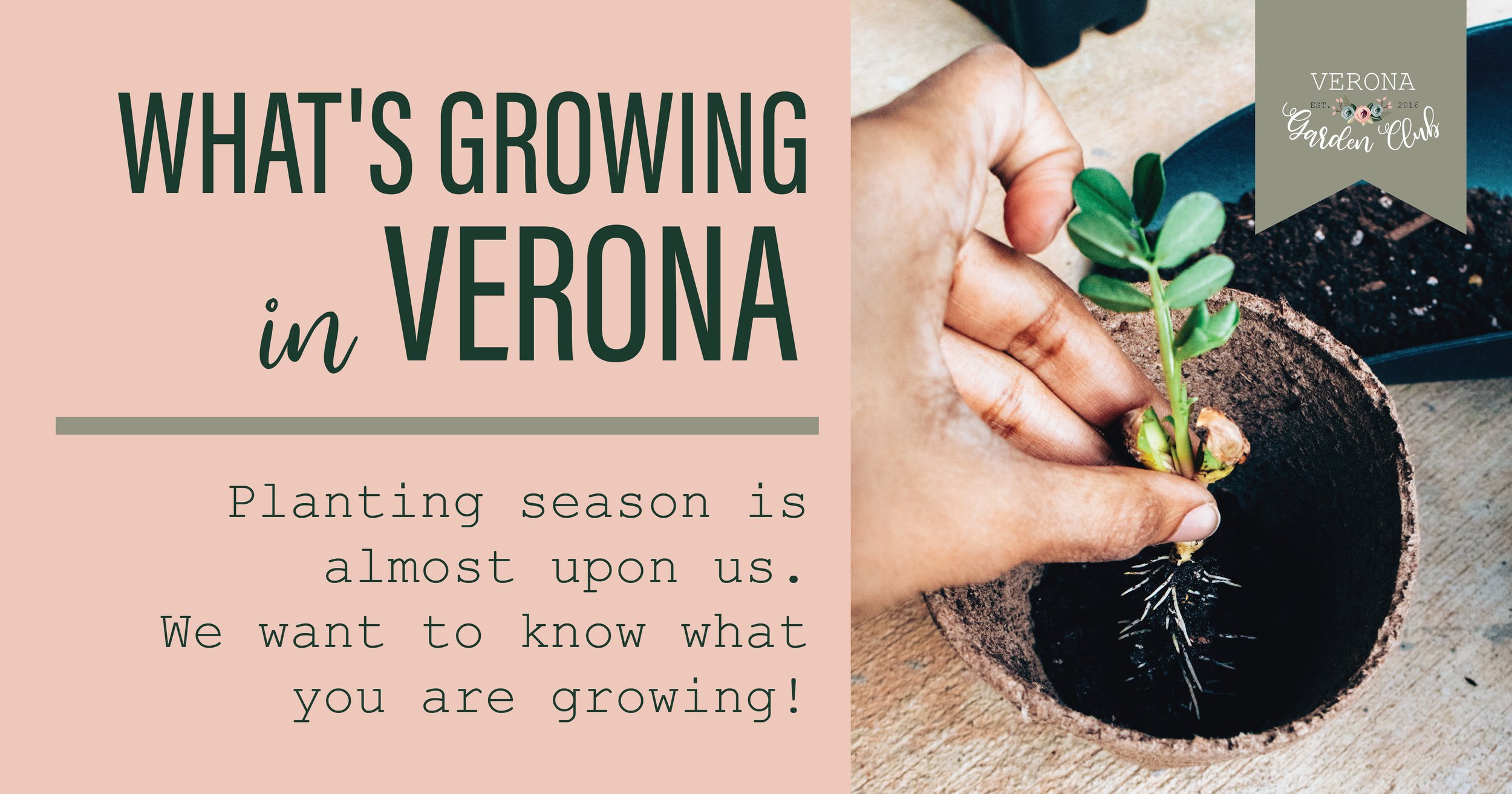 VGC_WhatsGrowing-01.jpg
