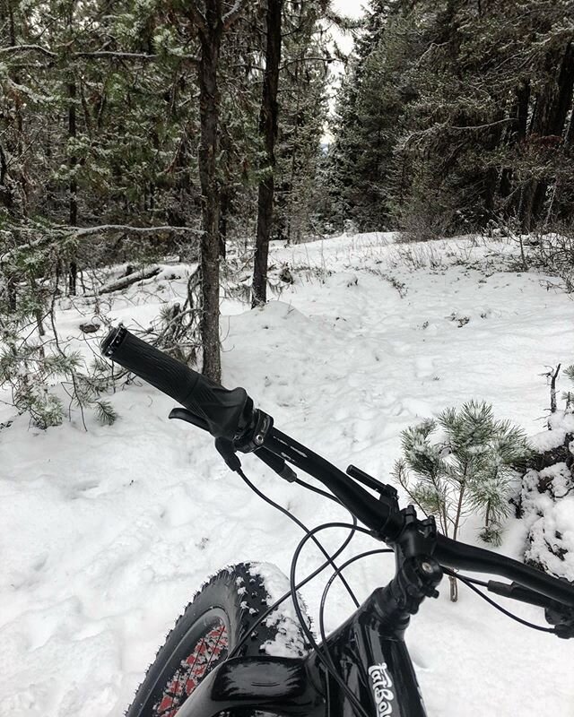 We don&rsquo;t have much snow.. and mild temps... fat biking the trails is 🔥 #fatbiking #ridetheyellowhead #makelemonade #communitytrails