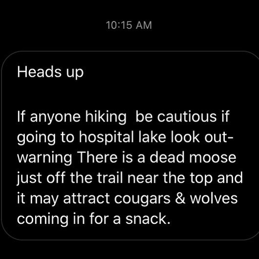 Heads up if you&rsquo;re hiking to the lookout above Hospital Lake! #hazelton #psa