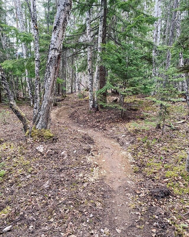Keeping busy, relaxed, distanced... and making new trails! #trailsforall #runbikehike #communitytrails