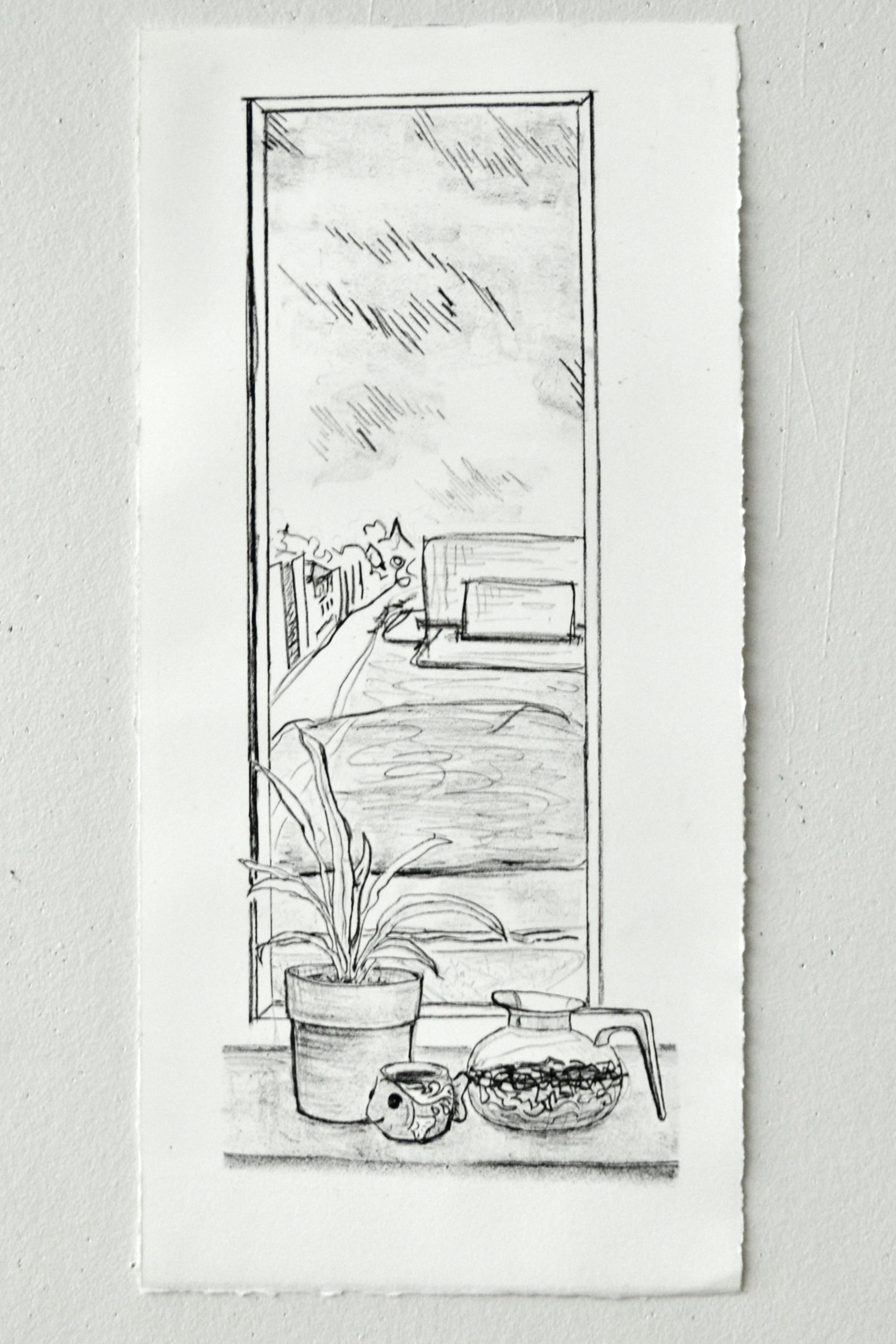 Windowsill