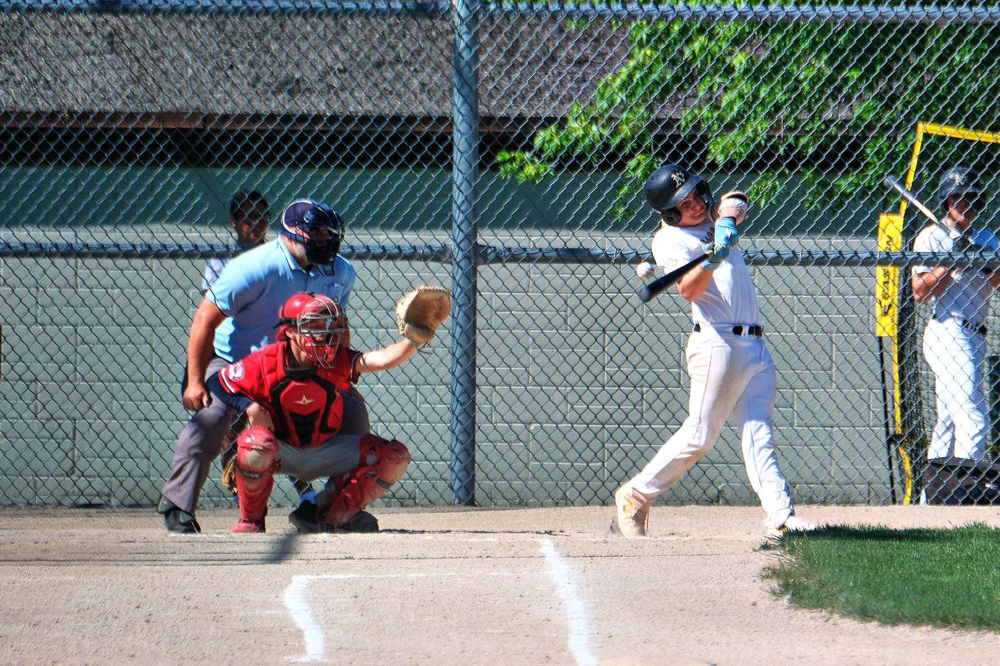 DSCF5549.jpg