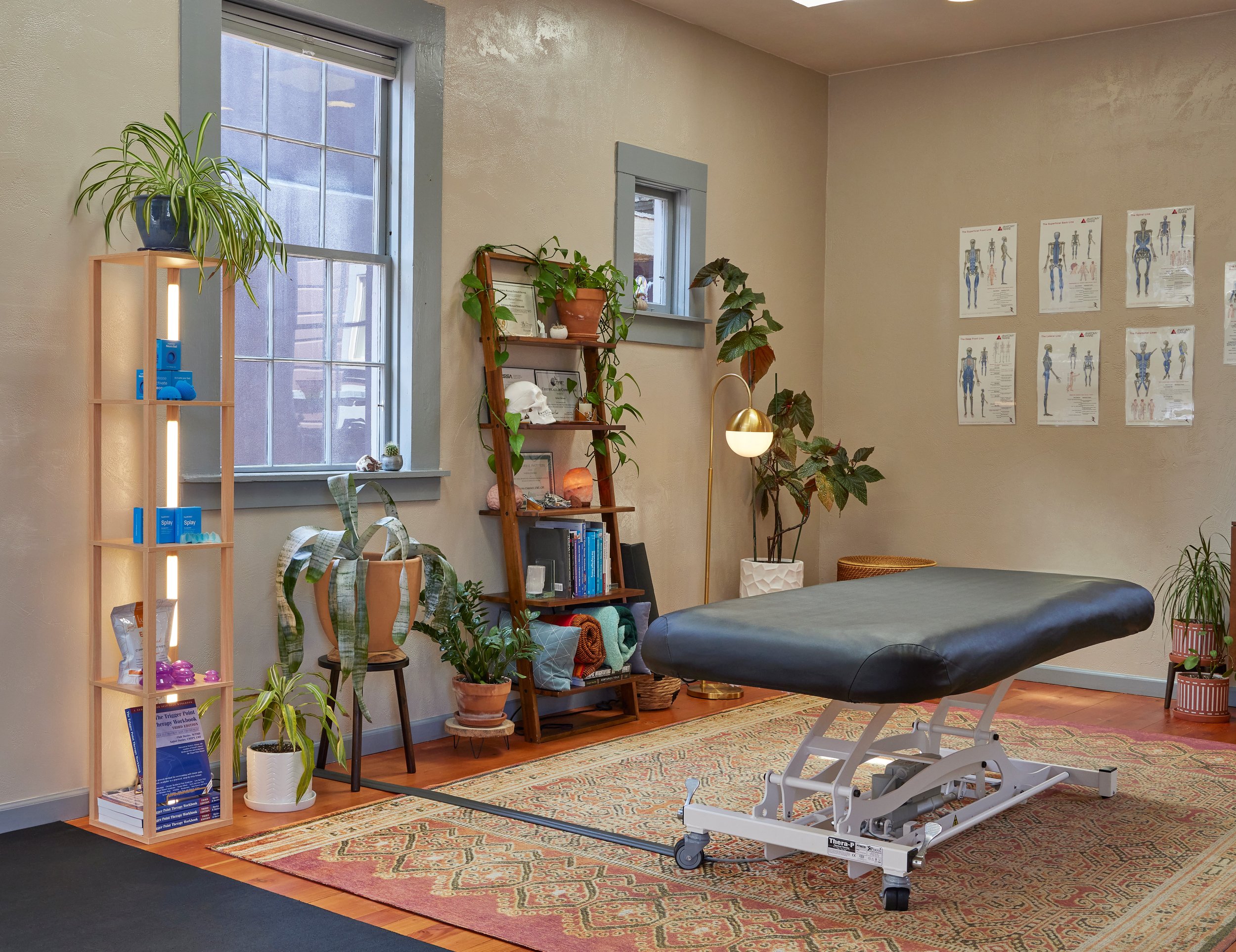 An image of a treatment room with two skylights and bright windows, featuring a treatment table, desk, wood flooring, cowhide rug, and warm brown accents. The room is decorated with lots of green plants, creating a happy and comfortable atmosphere.