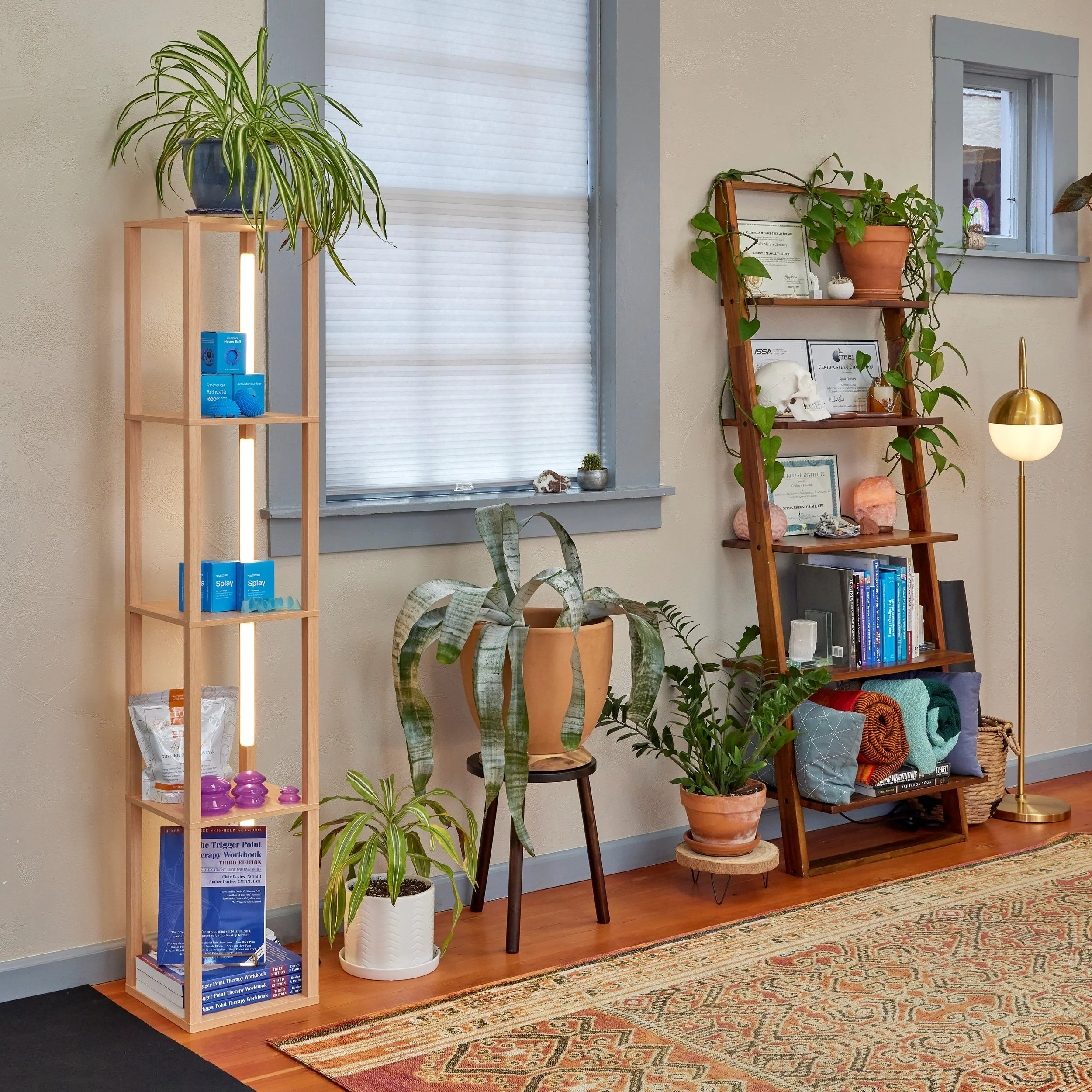 Two shelves, one with certificates, books and plants and another with therapy tools for purchase including cupping equipment, massage balls, toe spacers, and a trigger point therapy book.