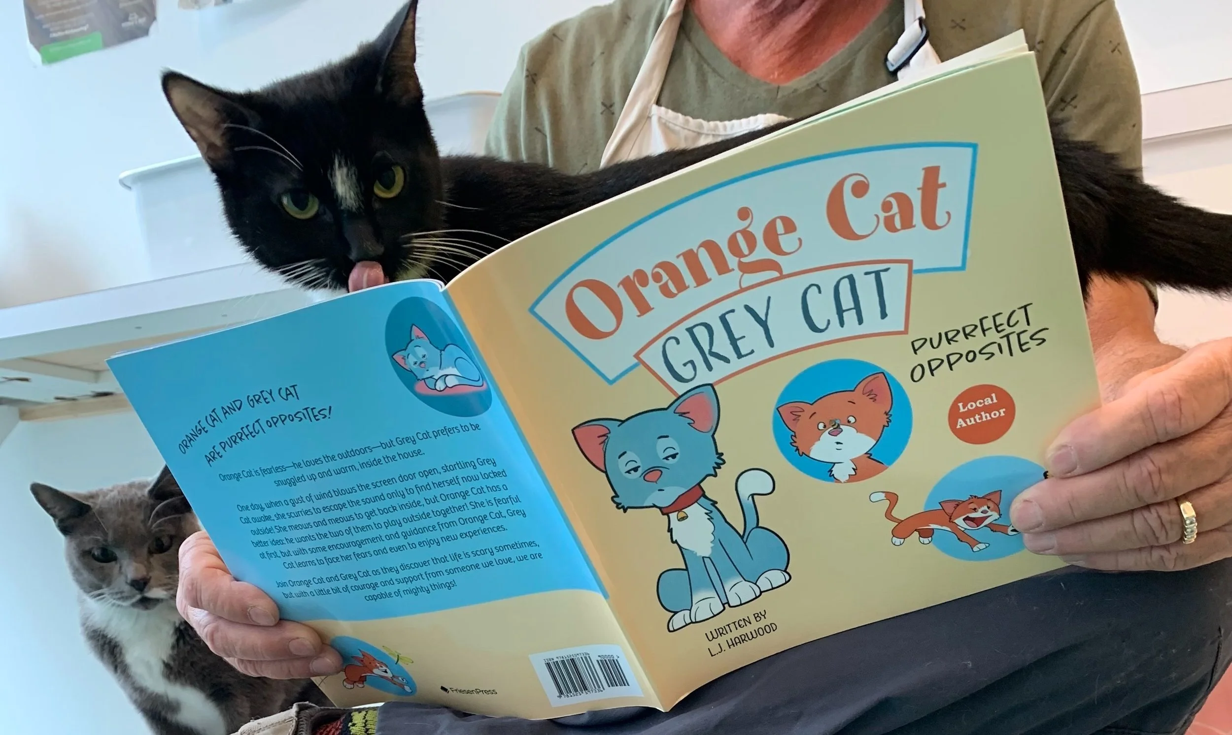 Orange Cat Grey Cat by L.J Harwood Book Reading