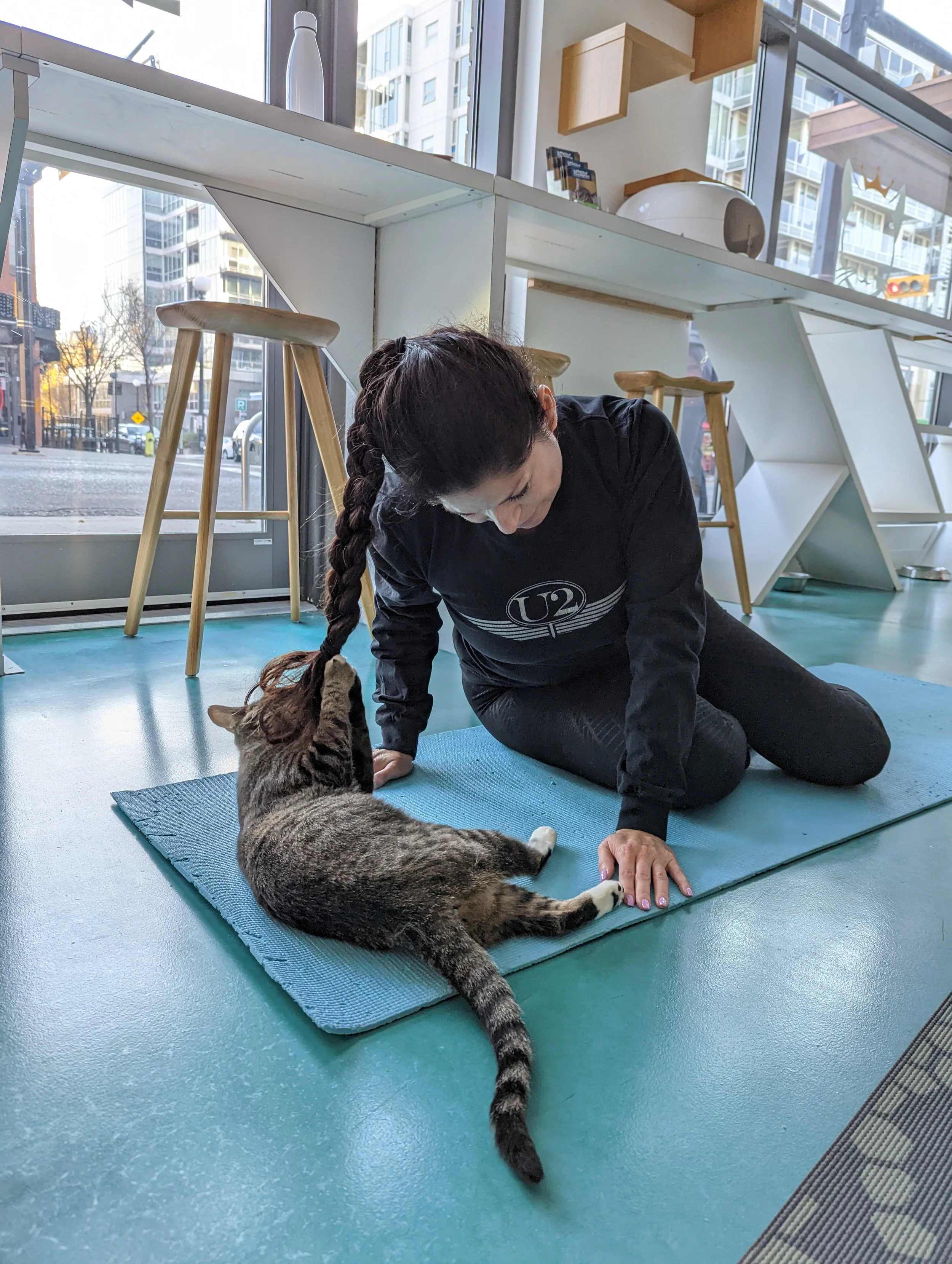 Cats & Yoga - August 26th