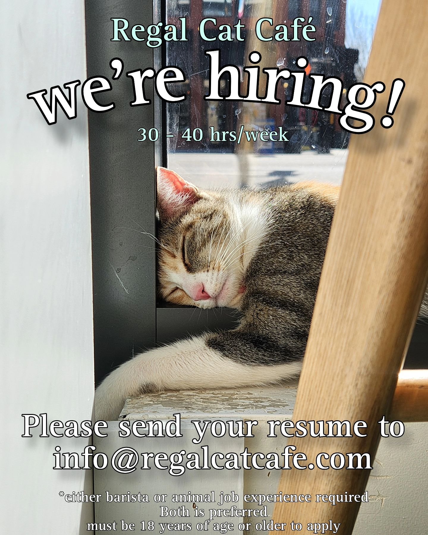 We&rsquo;re looking for a cat-loving, customer service focused candidate for our busy summer season!
Must be 18+ years old and have Barista or Cat Care experience (preferably both!). 30-40 hours per week, approximately June-Labour Day with potential 