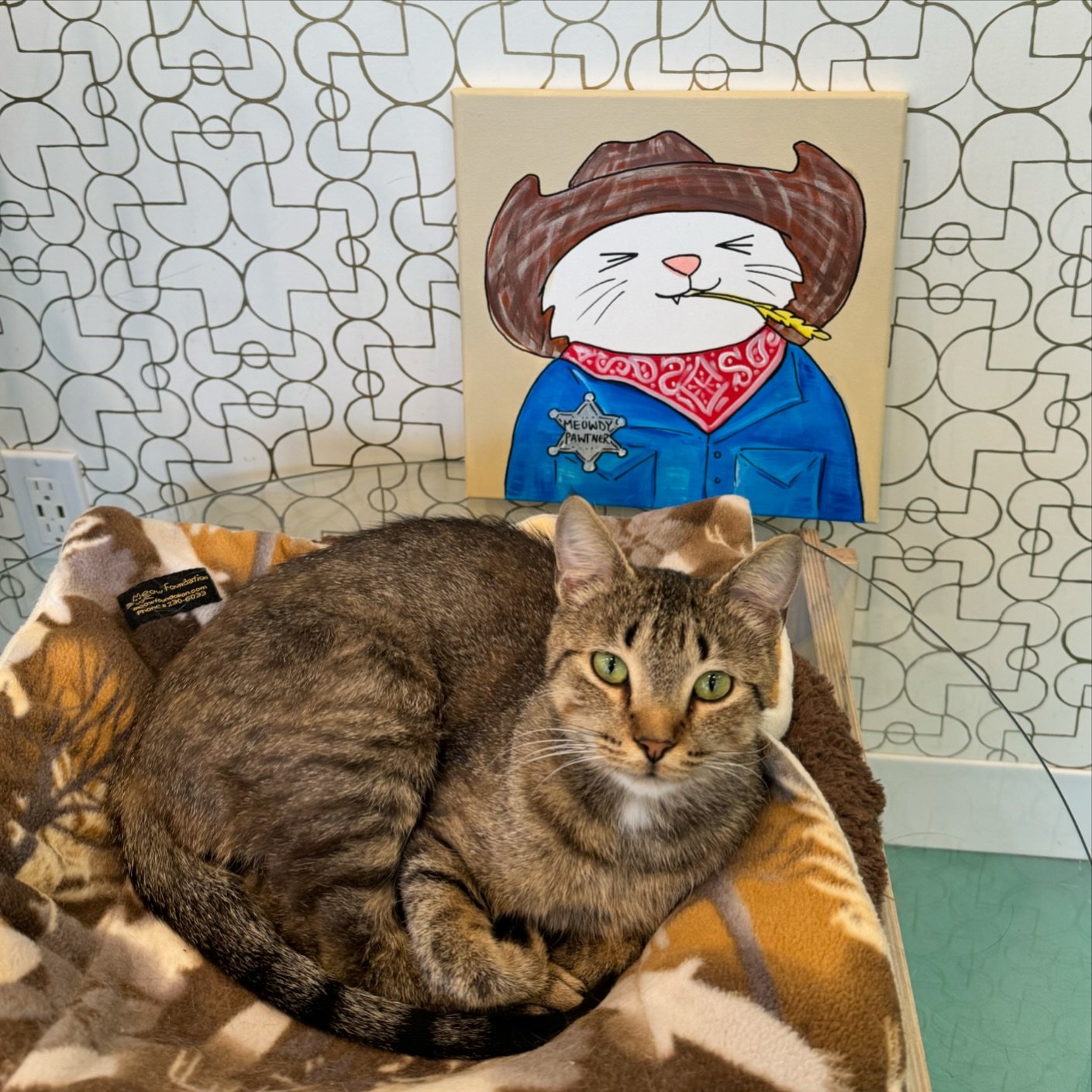 Meowdy Pawtner! Have you heard about our kitty paint nights? Join us August 12th for an evening full of art and cat cuddles with local artist @calgarychalkartist Tickets still available @ https://www.regalcatcafe.com/events 🎨🌚
