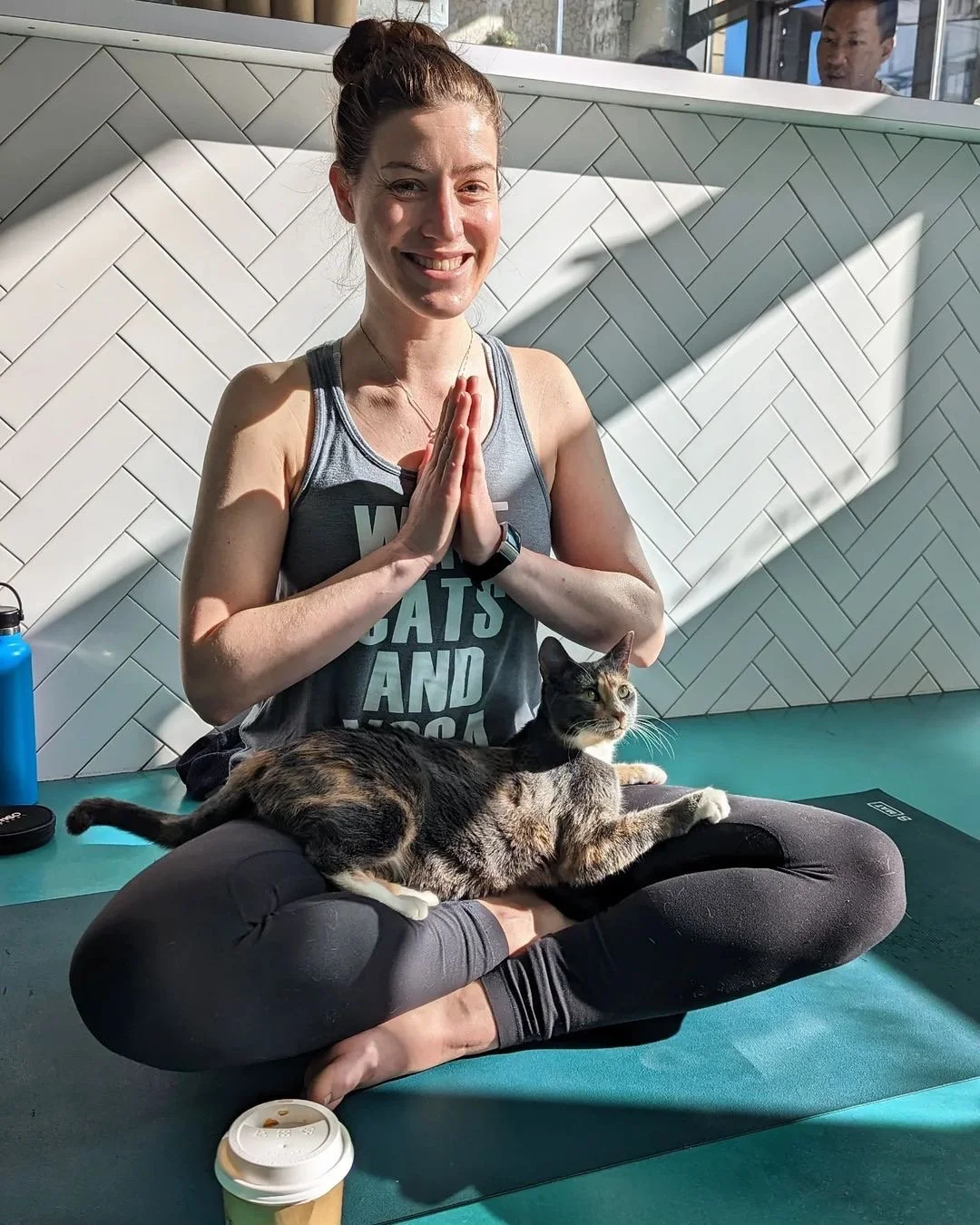 Cats &amp; Yoga - November 2nd