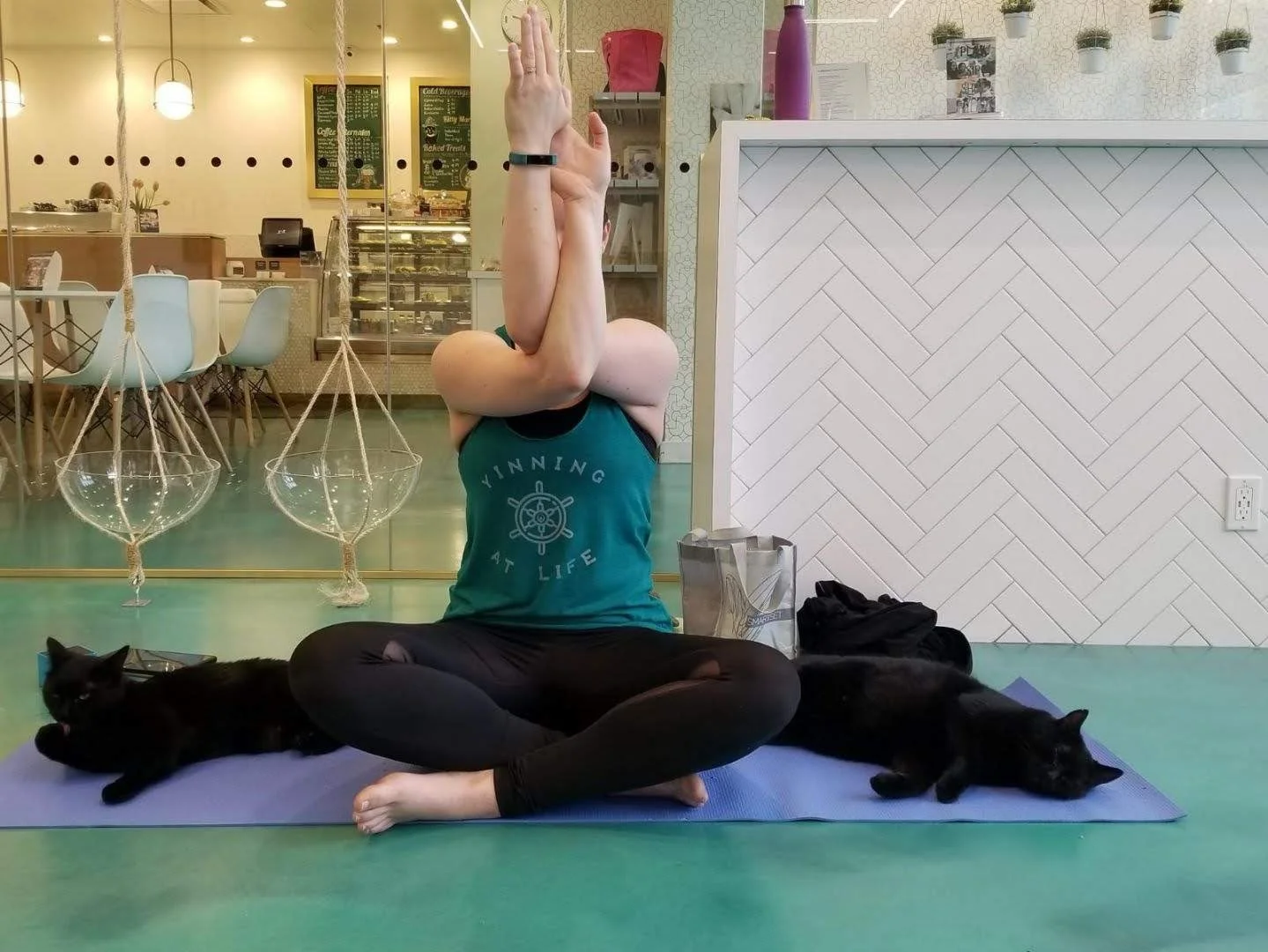 Cats & Yoga - November 22nd