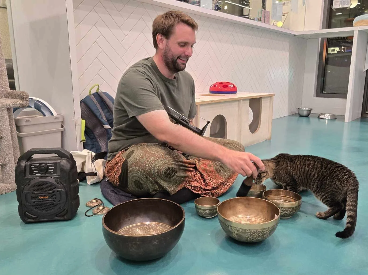 Guided Meditation & Sound Bath Session with Cats December 11th