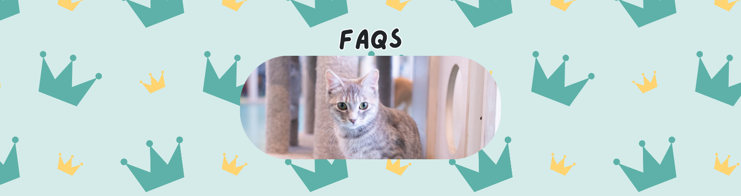 FAQs Final.png