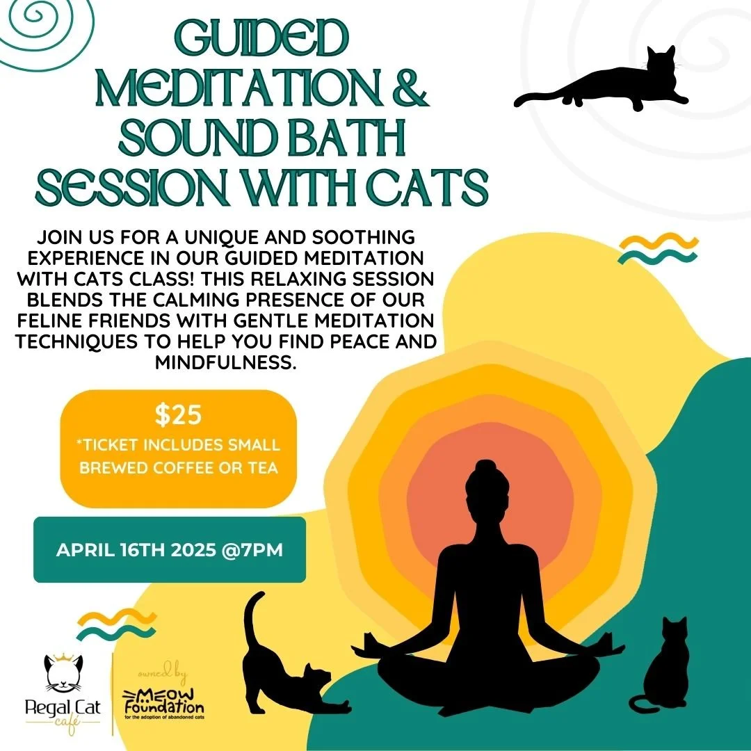Guided Meditation & Sound Bath Session with Cats April 16th