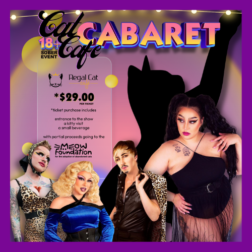 Cat Cafe Cabaret March 20th