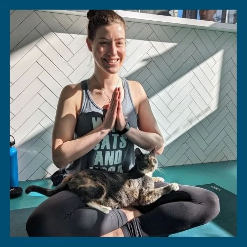 Cats & Yoga - November 13th