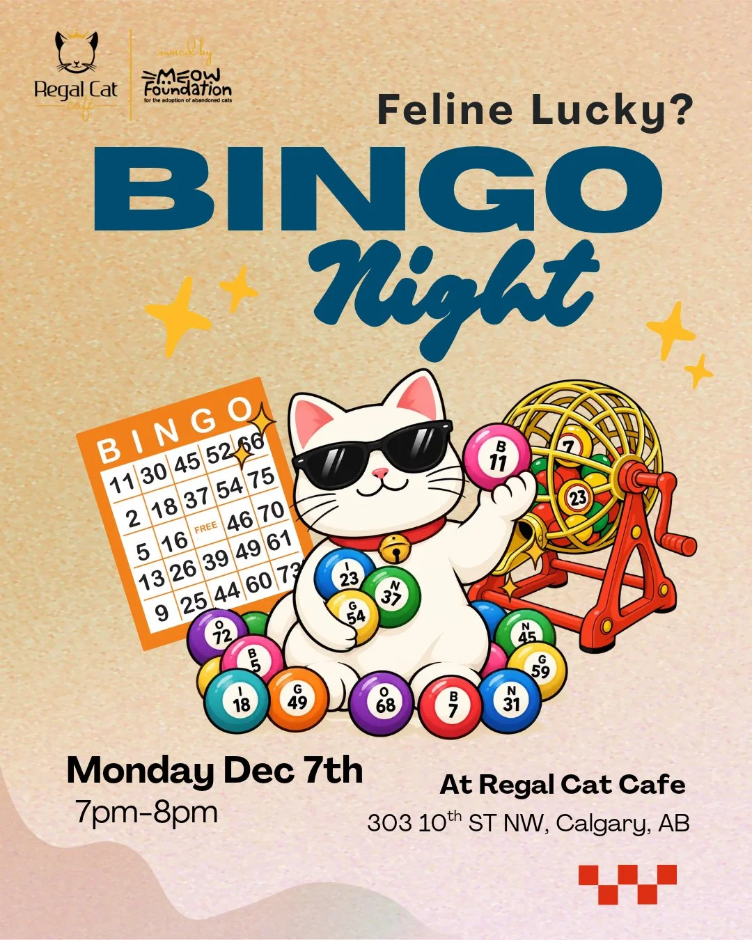 Cat Bingo Night!