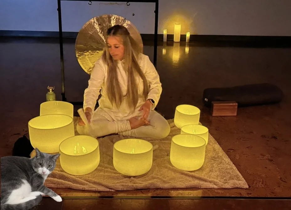 soundBath chakra yin Meditation at the Cat Cafe.jpg (Copy) (Copy)